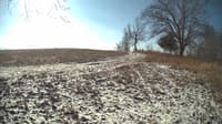 The field cam, Feb 11, 2024 at 8:31am