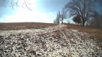 The field cam, Feb 11, 2024 at 9:00am