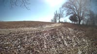 The field cam, Feb 11, 2024 at 10:52am