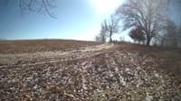 The field cam, Feb 11, 2024 at 11:00am