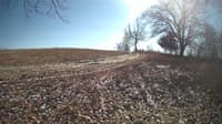 The field cam, Feb 11, 2024 at 11:25am