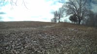 The field cam, Feb 12, 2024 at 8:57am