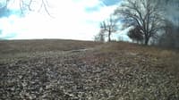 The field cam, Feb 12, 2024 at 9:12am