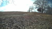 The field cam, Feb 12, 2024 at 9:13am
