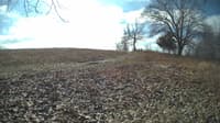 The field cam, Feb 12, 2024 at 9:18am