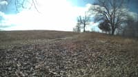 The field cam, Feb 12, 2024 at 9:20am