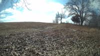 The field cam, Feb 12, 2024 at 9:45am