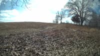 The field cam, Feb 12, 2024 at 9:50am