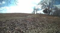 The field cam, Feb 12, 2024 at 9:52am
