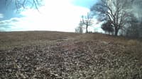 The field cam, Feb 12, 2024 at 9:55am