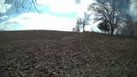 The field cam, Feb 12, 2024 at 9:58am