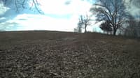 The field cam, Feb 12, 2024 at 9:58am