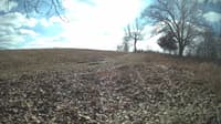 The field cam, Feb 12, 2024 at 10:24am
