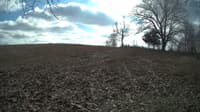 The field cam, Feb 12, 2024 at 10:50am