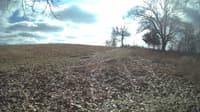 The field cam, Feb 12, 2024 at 10:56am