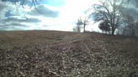 The field cam, Feb 12, 2024 at 10:57am