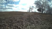 The field cam, Feb 12, 2024 at 10:59am