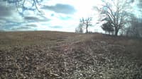 The field cam, Feb 12, 2024 at 11:21am