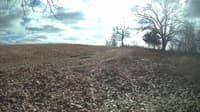 The field cam, Feb 12, 2024 at 11:23am