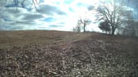 The field cam, Feb 12, 2024 at 11:27am