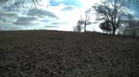 The field cam, Feb 12, 2024 at 11:29am