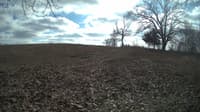 The field cam, Feb 12, 2024 at 11:31am