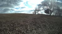 The field cam, Feb 12, 2024 at 11:36am