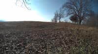 The field cam, Feb 14, 2024 at 7:50am