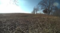 The field cam, Feb 14, 2024 at 7:57am