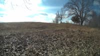 The field cam, Feb 14, 2024 at 8:23am