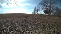 The field cam, Feb 14, 2024 at 9:00am