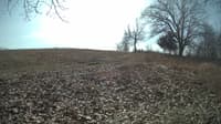 The field cam, Feb 14, 2024 at 10:09am