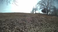 The field cam, Feb 14, 2024 at 10:11am