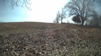 The field cam, Feb 14, 2024 at 10:17am