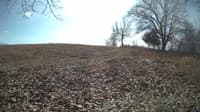 The field cam, Feb 14, 2024 at 10:20am
