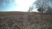 The field cam, Feb 14, 2024 at 10:21am