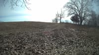 The field cam, Feb 14, 2024 at 10:40am