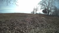 The field cam, Feb 14, 2024 at 10:46am