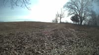 The field cam, Feb 14, 2024 at 10:52am