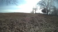 The field cam, Feb 14, 2024 at 10:57am