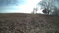 The field cam, Feb 14, 2024 at 10:57am