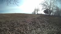 The field cam, Feb 14, 2024 at 11:20am