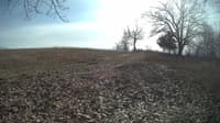 The field cam, Feb 14, 2024 at 11:29am