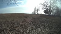 The field cam, Feb 14, 2024 at 11:34am