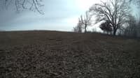 The field cam, Feb 14, 2024 at 11:54am