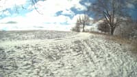 The field cam, Feb 15, 2024 at 8:15am