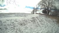 The field cam, Feb 15, 2024 at 9:13am