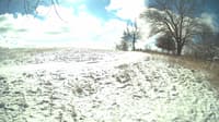 The field cam, Feb 15, 2024 at 9:26am