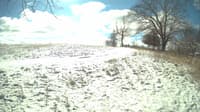 The field cam, Feb 15, 2024 at 9:27am