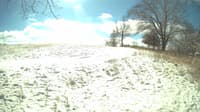 The field cam, Feb 15, 2024 at 9:33am